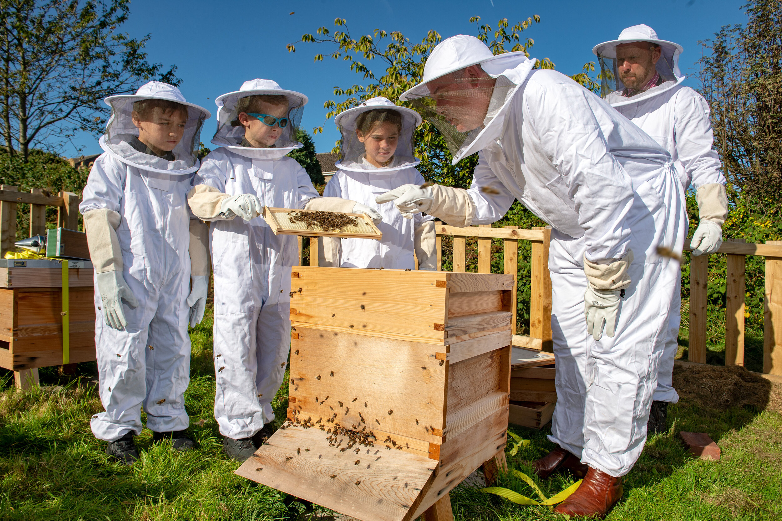 دوره های آموزش زنبورداری